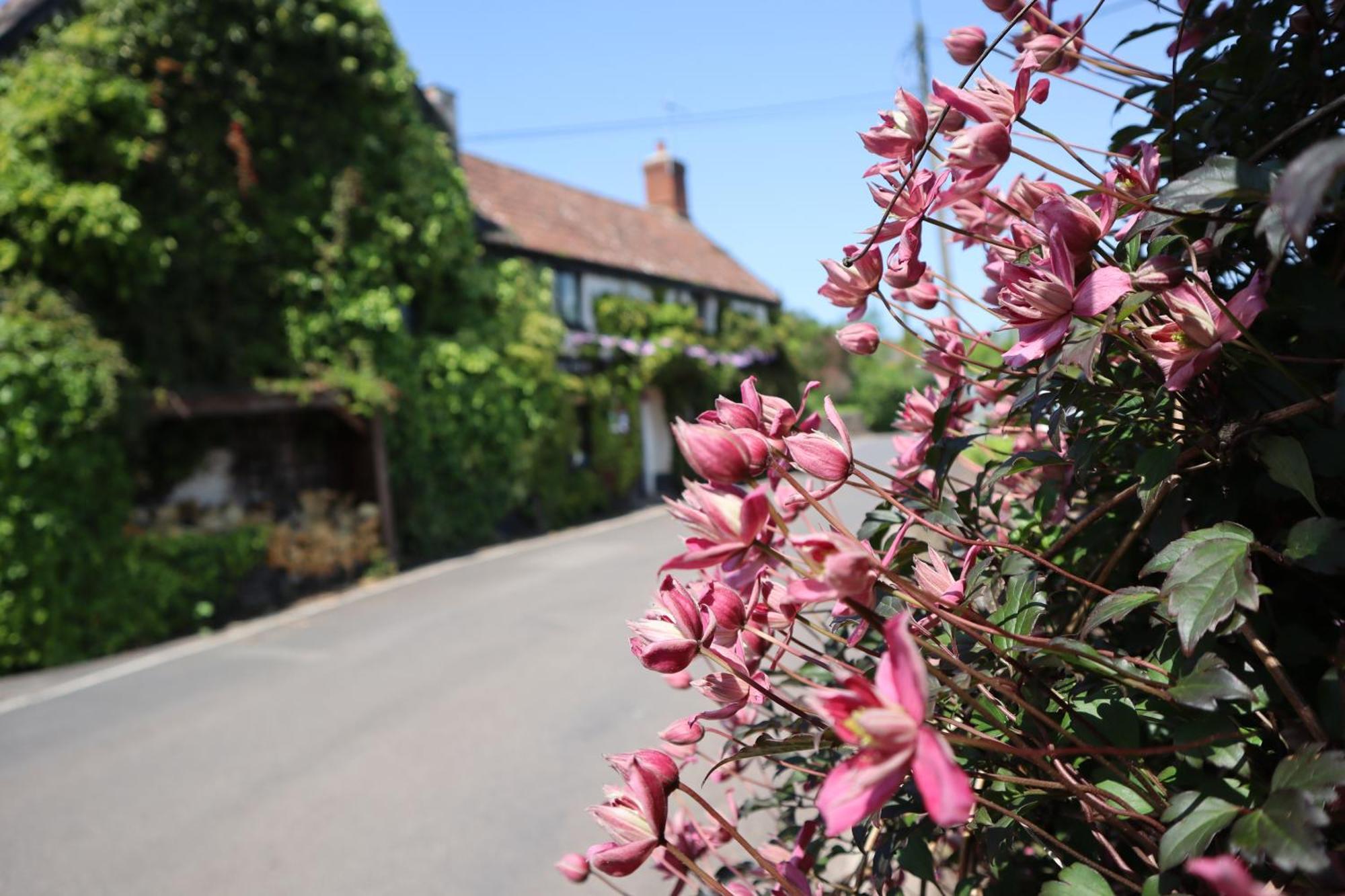 Washford The White Horse Inn מראה חיצוני תמונה