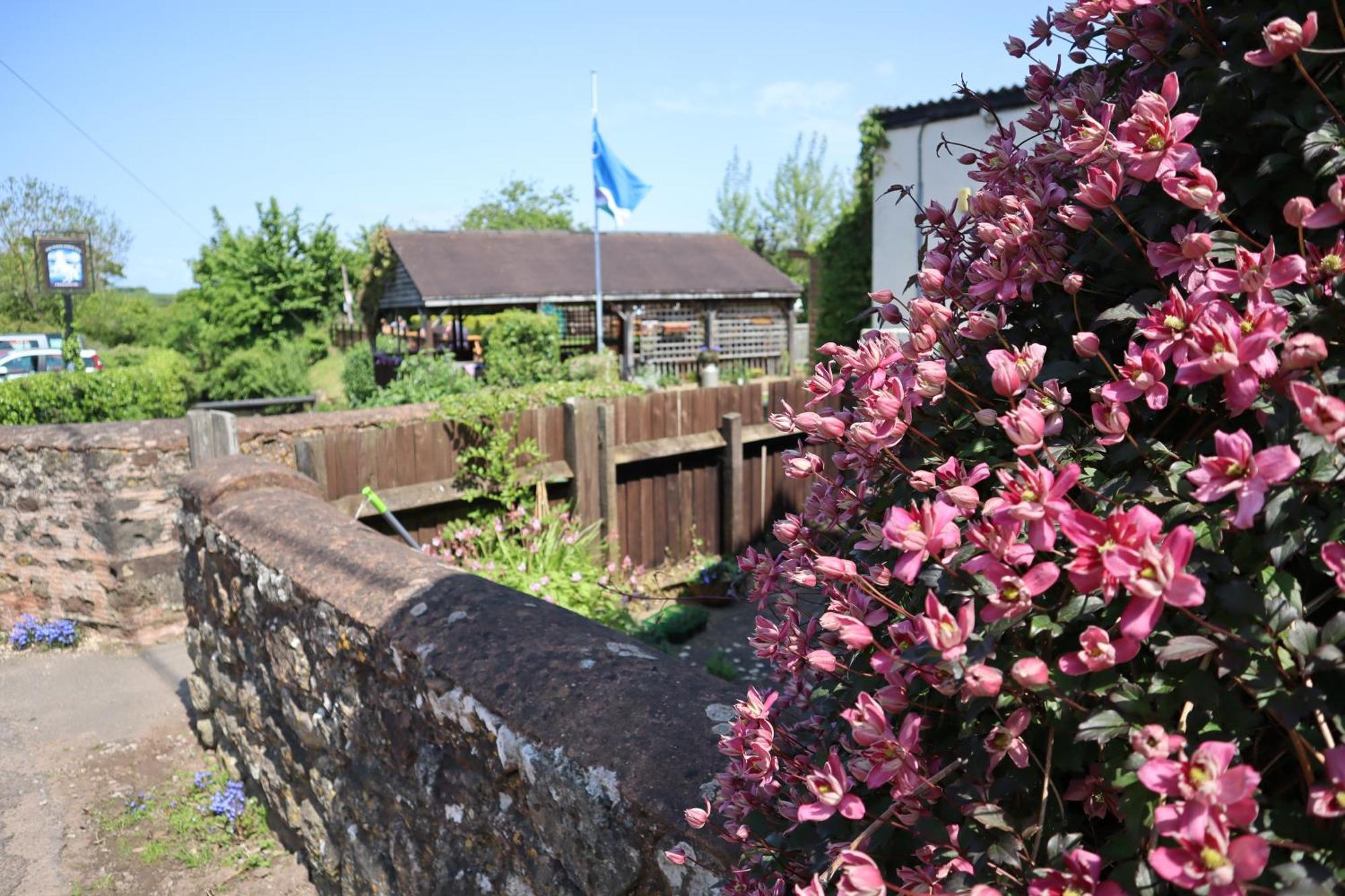 Washford The White Horse Inn מראה חיצוני תמונה